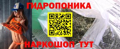 стаф Кингисепп