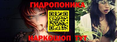 стаф Кингисепп