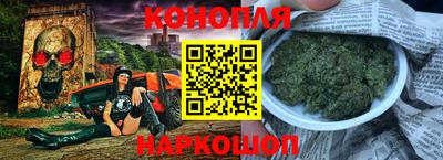 стаф Кингисепп