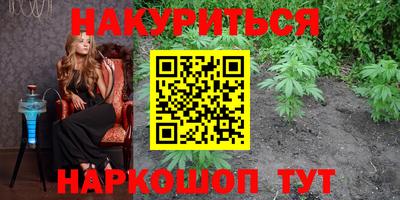 стаф Кингисепп