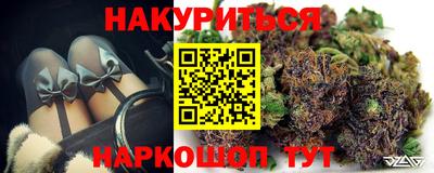 стаф Кингисепп