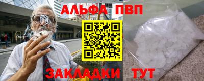стаф Кингисепп