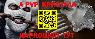 стаф Кингисепп