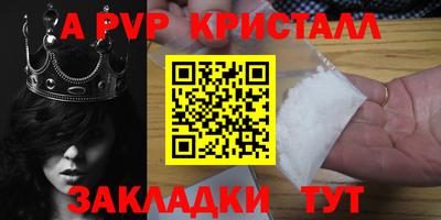 стаф Кингисепп