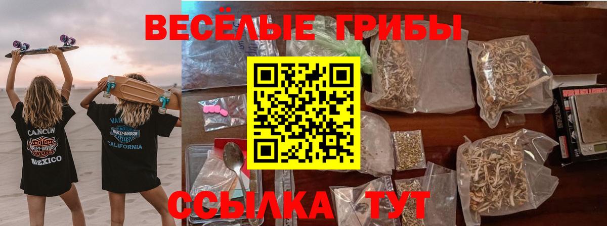 Галлюциногенные грибы мицелий  Вход с VPN  Ковров  Галлюциногенные грибы Magic Shrooms 