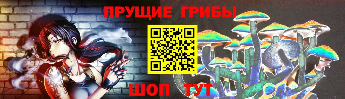 Псилоцибиновые грибы Psilocybine cubensis Ковров